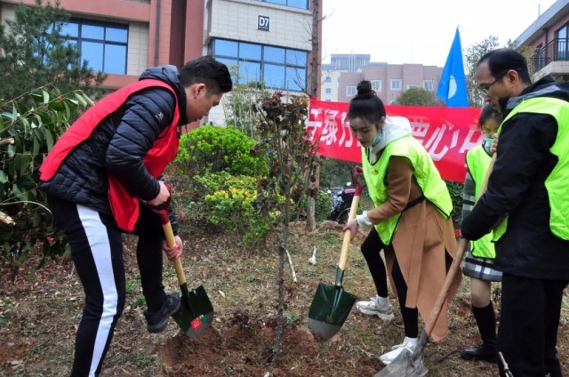 1616132500764911.jpg 9.jpg