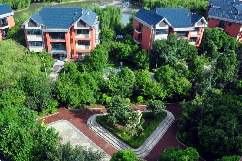 1684894449591456.jpg 640 (3).jpg